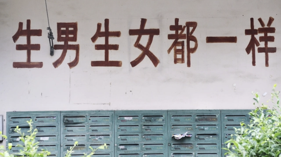 “招弟”改名：民法典让女性自我实现有了新契机